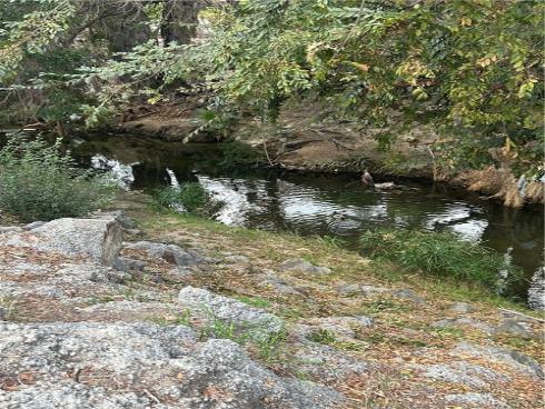 965 S Idaho  4 , La Habra, CA