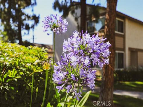 1419 Norwich Lane, La Habra, CA