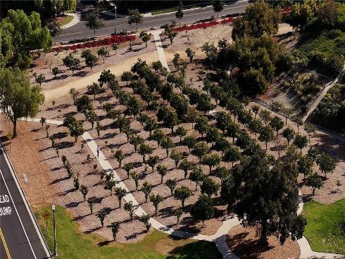 3 Sandy Pond Road, Ladera Ranch, CA