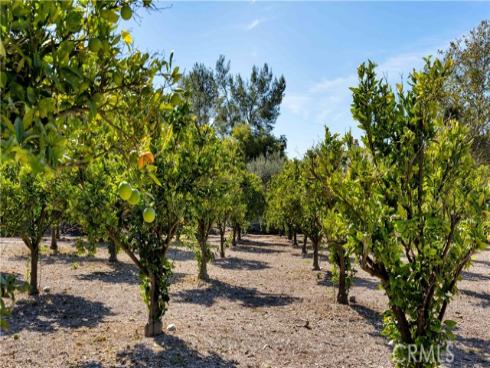 2 Thomas Road, Ladera Ranch, CA