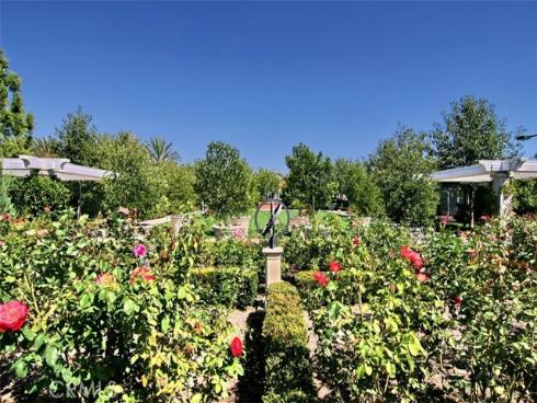 49 Three Vines Court, Ladera Ranch, CA