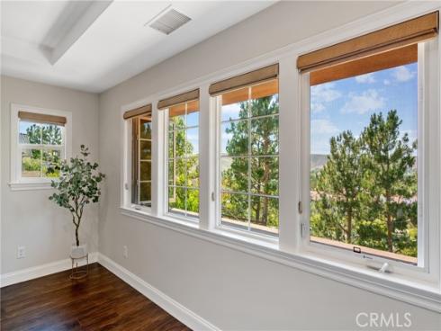 15  Basilica   Place, Ladera Ranch, CA