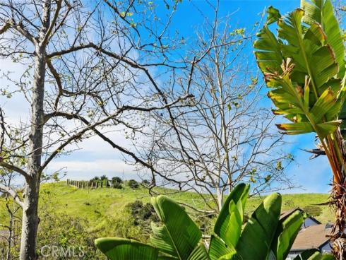 11  Oatfield Farm  , Ladera Ranch, CA