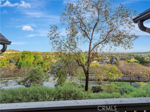 40  Three Vines   Court, Ladera Ranch, CA