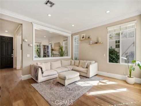 217  Sklar   Street, Ladera Ranch, CA