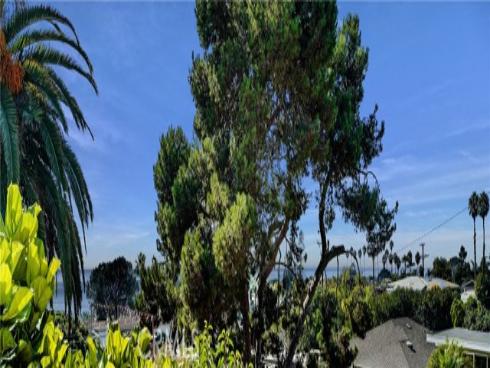 251 Viejo Street, Laguna Beach, CA