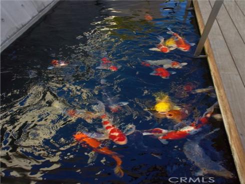 2460  Monaco   Drive, Laguna Beach, CA