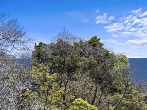 785  Summit   Drive, Laguna Beach, CA