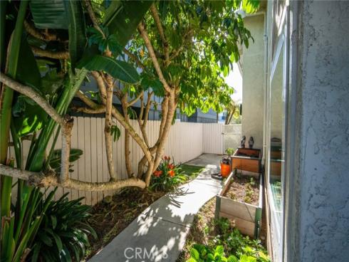 956  Tia Juana  , Laguna Beach, CA