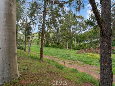 22095 Caminito Amor , Laguna Hills, CA