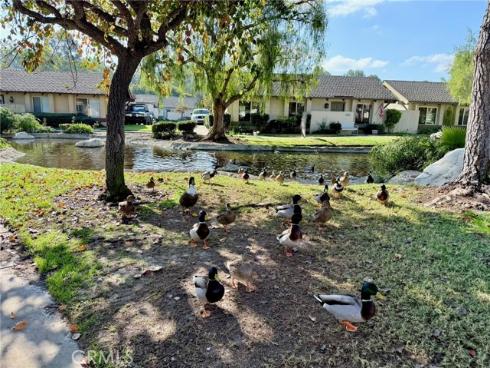 22901 Caminito Flores 130 , Laguna Hills, CA