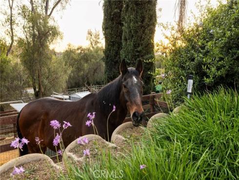 24972  Buckboard   Lane, Laguna Hills, CA