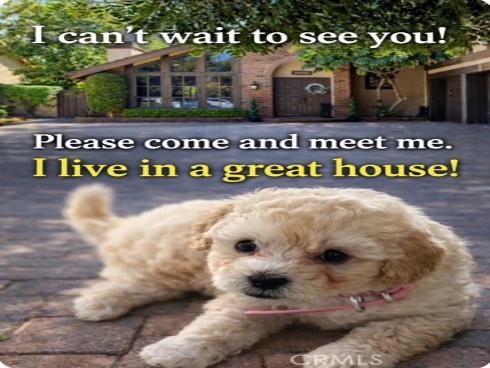 26042  Terra Bella  , Laguna Hills, CA