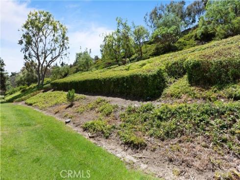 23622 Wakefield 69 Court, Laguna Niguel, CA