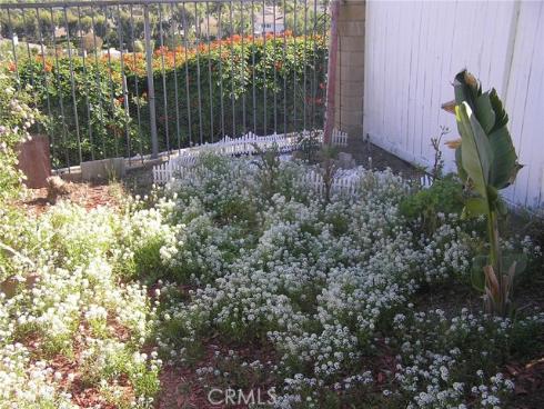 24602 Via Del Oro , Laguna Niguel, CA