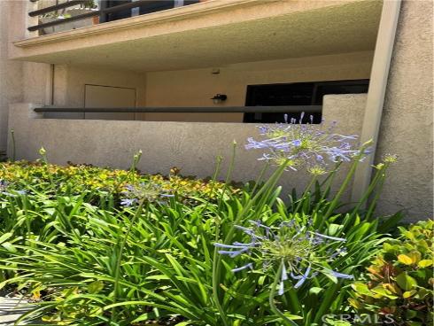 113 Pearl 106 , Laguna Niguel, CA