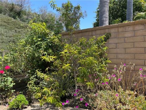 24615  Kings   Road, Laguna Niguel, CA