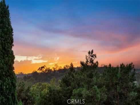 17  Siena  , Laguna Niguel, CA