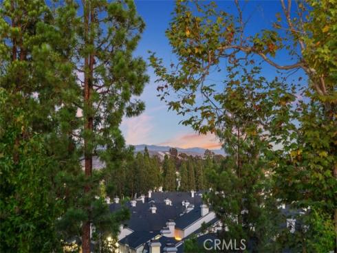 20  Stream  , Laguna Niguel, CA