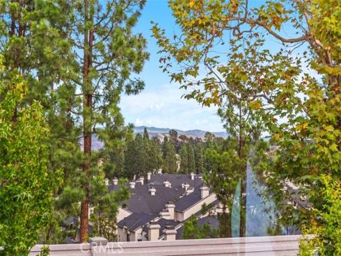 20  Stream  , Laguna Niguel, CA