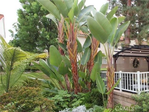 24336  Carlton Ct  , Laguna Niguel, CA