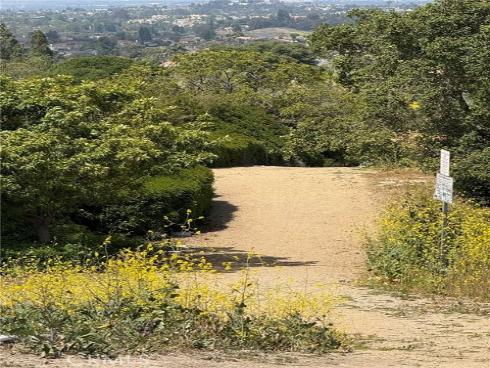 82  Largo   Street, Laguna Niguel, CA