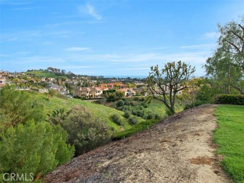 22  Callender   Court, Laguna Niguel, CA