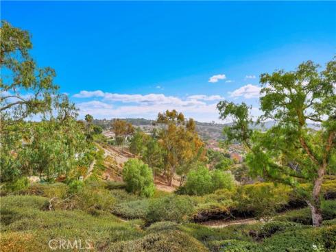 17  Fleurance Street  , Laguna Niguel, CA