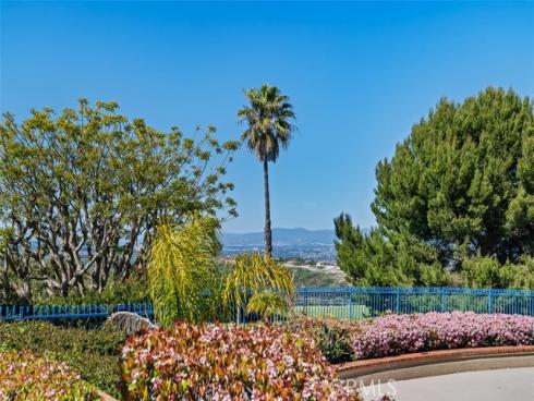 3 Nice , Laguna Niguel, CA