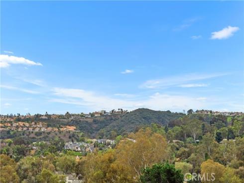 23962  Eider   Court, Laguna Niguel, CA