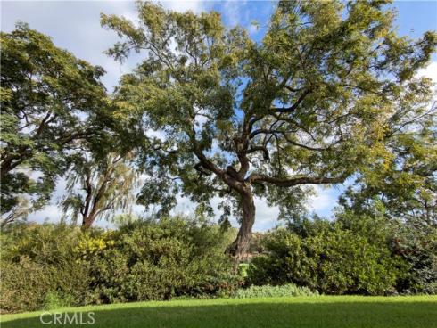 31216 W Nine 15H Drive, Laguna Niguel, CA