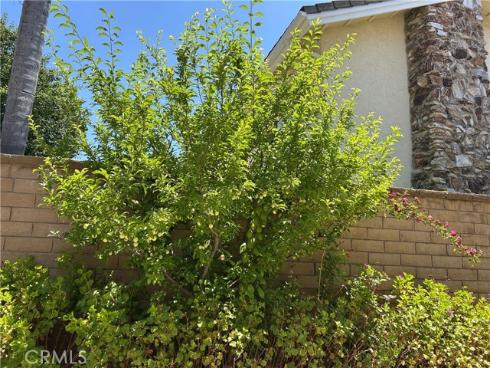 24615  Kings   Road, Laguna Niguel, CA