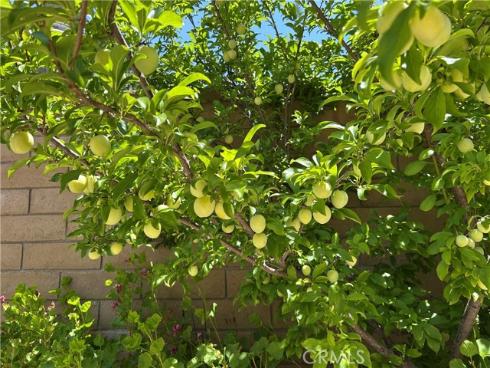 24615  Kings   Road, Laguna Niguel, CA