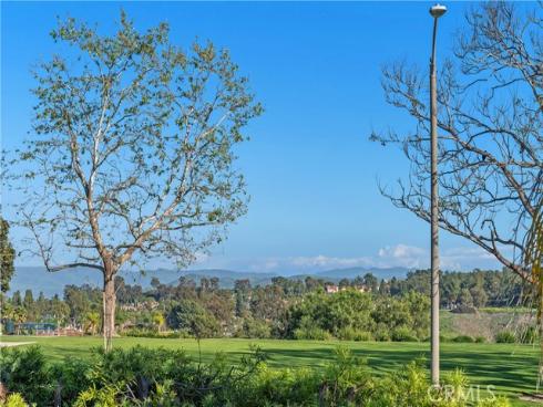 20  Vienna  , Laguna Niguel, CA