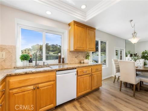 4  Precipice  , Laguna Niguel, CA