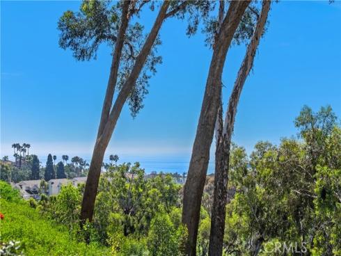 51  Hancock  , Laguna Niguel, CA