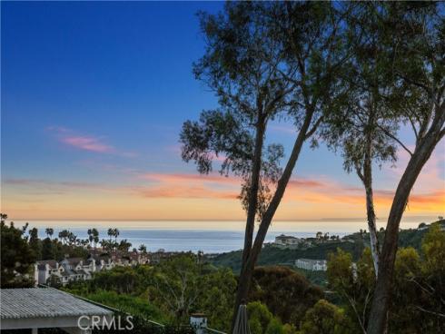 51  Hancock  , Laguna Niguel, CA