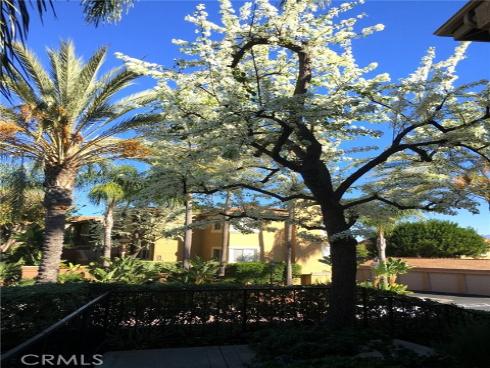 30902  Clubhouse  3G  Drive, Laguna Niguel, CA