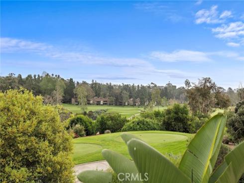 31344 W Nine  , Laguna Niguel, CA