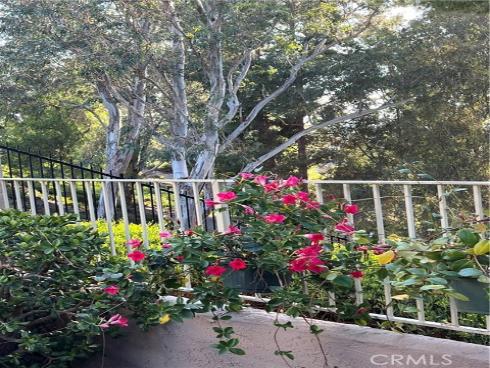 24291 Toponas Court, Laguna Niguel, CA