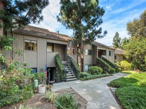 31383 E. Nine Drive