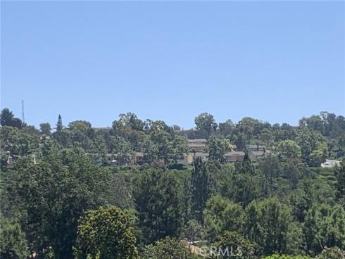 3271 San Amadeo P , Laguna Woods, CA