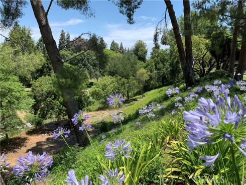 3271 San Amadeo P , Laguna Woods, CA