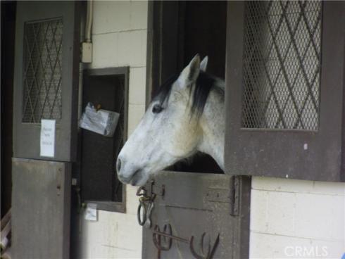 3271 San Amadeo P , Laguna Woods, CA