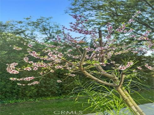 198 Avenida Majorca A , Laguna Woods, CA