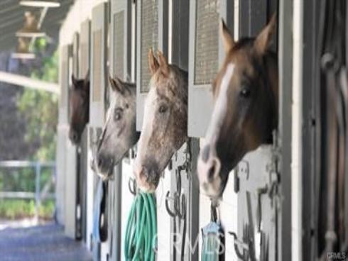 3185 Via Buena Vista B , Laguna Woods, CA