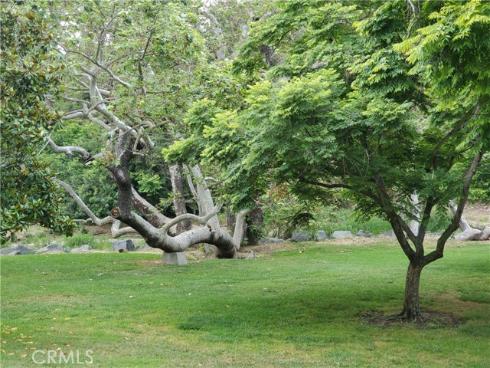 397 Avenida Castilla D , Laguna Woods, CA