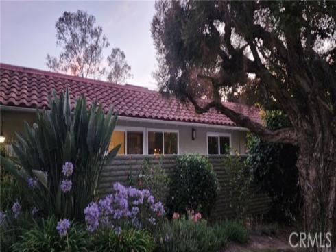 3253  San Amadeo  P , Laguna Woods, CA