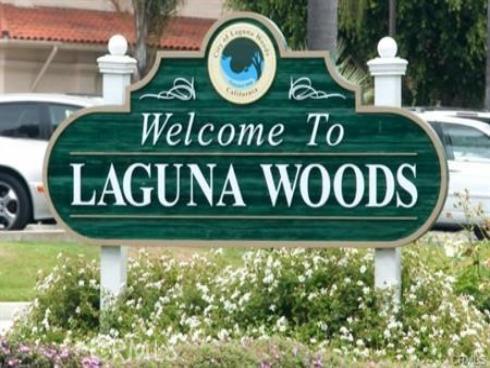 3300  Via Carrizo  D , Laguna Woods, CA