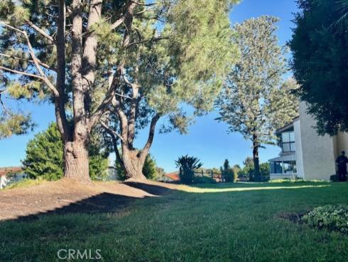 3435  Bahia Blanca  A , Laguna Woods, CA